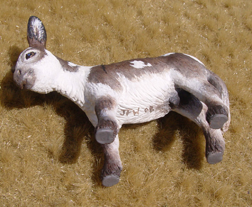 Spotted Jack Foal
