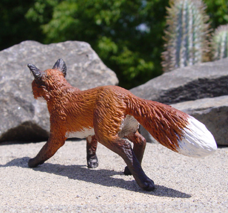 Red Fox