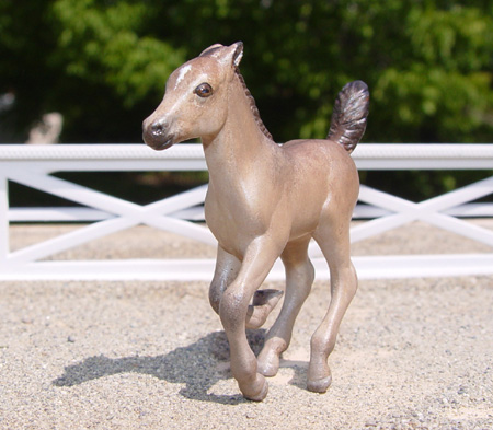 Buckskin Foal