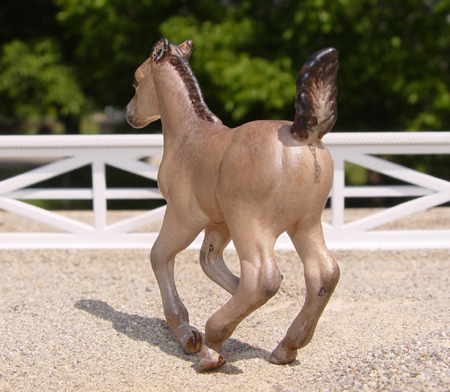 Buckskin Foal