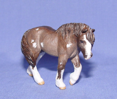 Dun Indian Pony