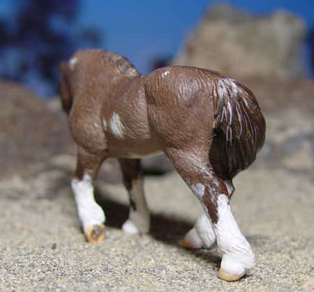 Dun Indian Pony