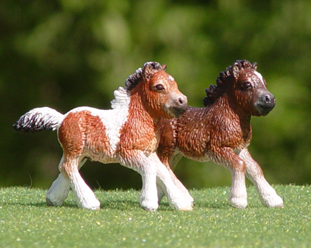 Pony Colt and Heathecroft's Little Oman