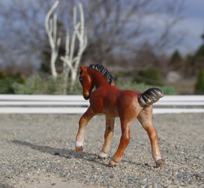 Mini Foal