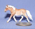 Trotting Cob Stallion