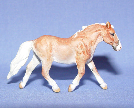 Trotting Cob Stallion