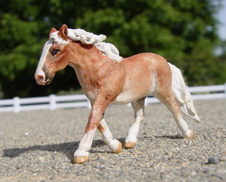 Trotting Cob Stallion