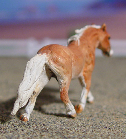 Trotting Cob Stallion