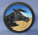 Stock Horse Medallion