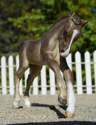 Scampering Colt