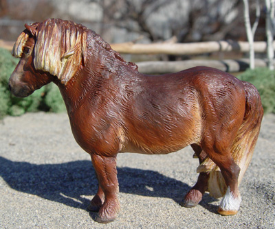 Shetland Pony