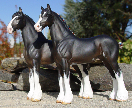 Shire Jr. Stallion & Clydesdale Mare