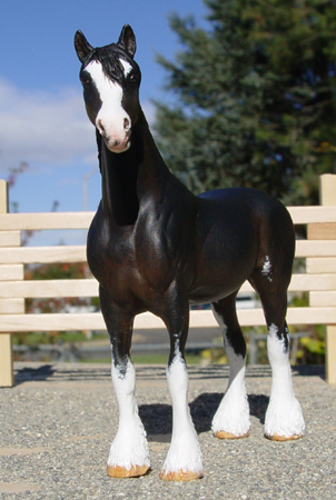 Clydesdale Mare