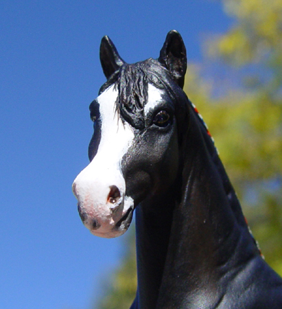 Clydesdale Mare