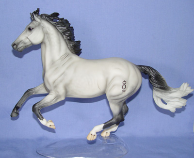 Oldenburg Stallion