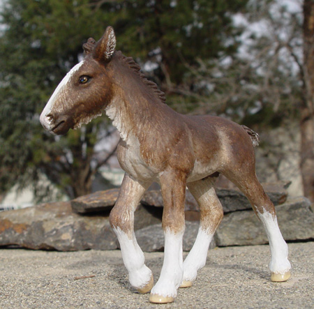 Shire Colt