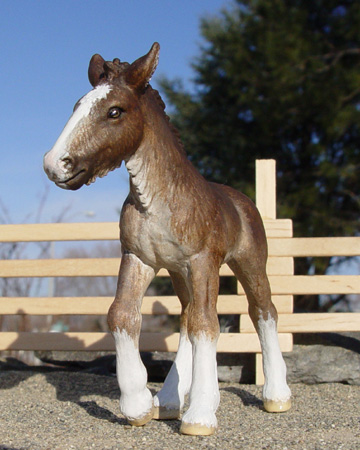 Shire Colt